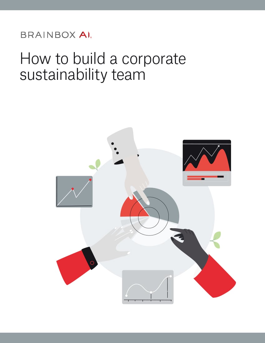 How to build a corporate sustainability team